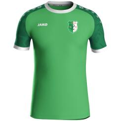 Spieltrikot Iconic M
